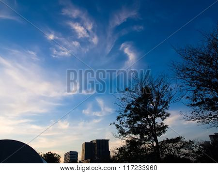 Blue sky