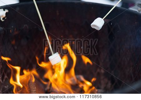 Marshmallow