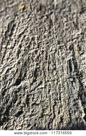 Brick  The In  Arsago     Pavement Of A Curch And