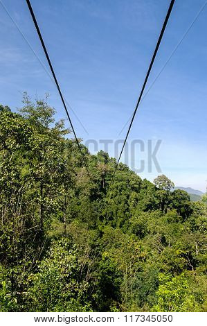 Zipline In The Mountain