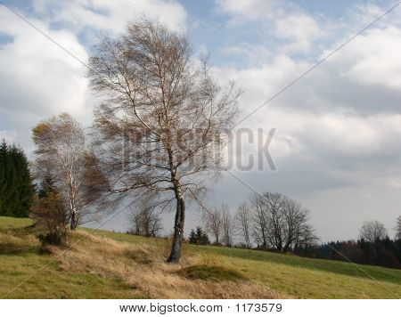 Ve větru