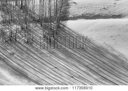 Stunning Alpine Landscape ,holbav,transylvania,romania,europe