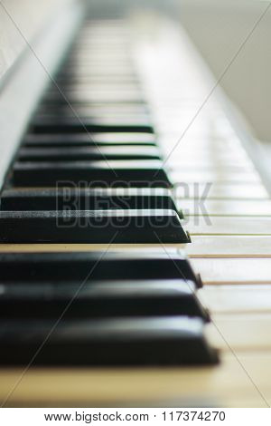 keys on the piano