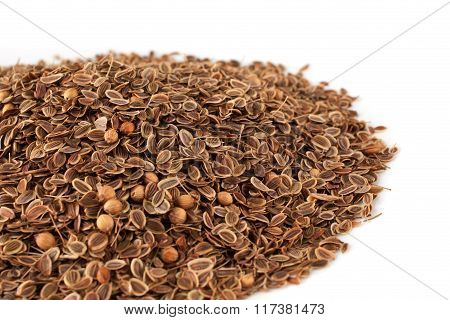 Fennel Seeds