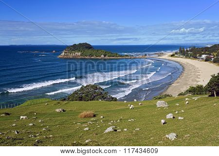 Mount Maunganui beach from the summit walking track.