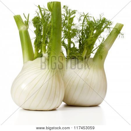 Fresh fennel bulb isolated on white background close up
