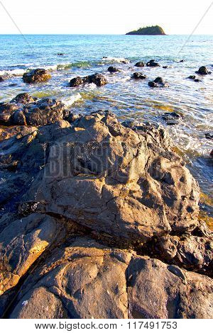 Andilana Beach Seaweed   Indian Ocean  Mountain     And Rock