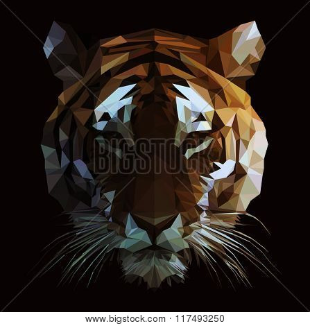 Low poly vector tiger illustration. Polygonal animal graphic design.