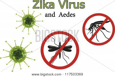 Zika Virus And Mosquitoes