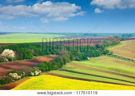 Countryside Colorful Fields and Sky Background - beautiful nature landscape, idillyc waves of hills, wallpaper