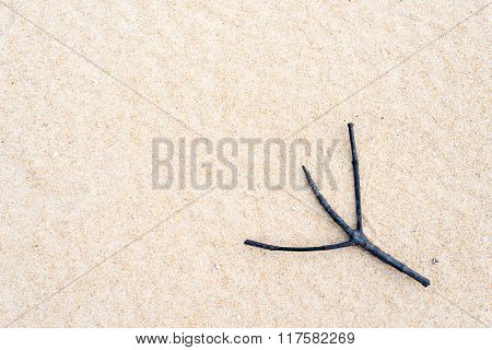 Twig On Sand