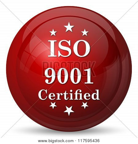 Iso9001 Icon