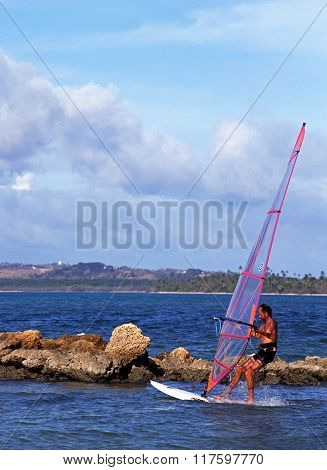 Windsurfing in Tobago.