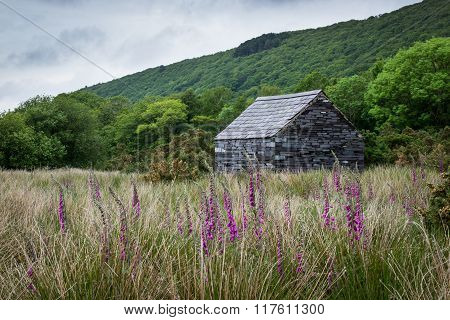 Stone cabin in field
