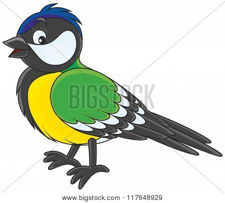 Tomtit