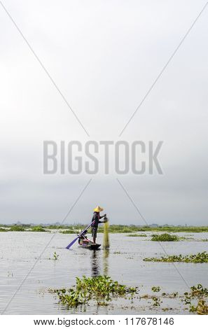 Fisherman catches fish on Inle Lake, Burma (Myanmar). Intha people from Shan State in this way catch fish to eat.