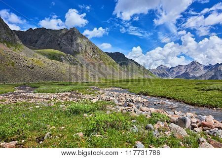 Stream And Mountain Meadow Summer Day