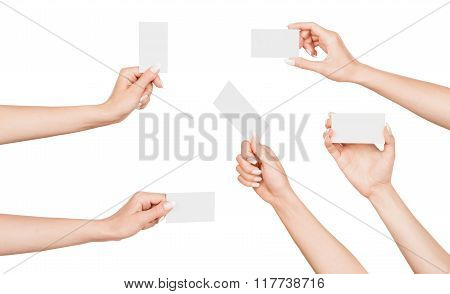 Collection Of Female Hand With Business Card On An Isolated White Background