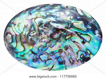 Blue Polished Surface Of Nacre Shell Isolated