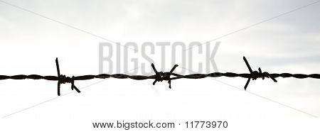 Stacheldraht
