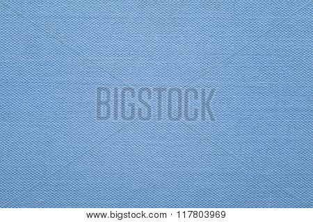Blue Canvas Texture