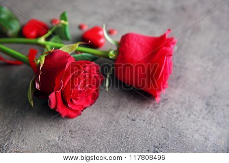 Beautiful red rose with small hearts on grey textured background