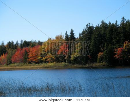 秋池-边远缅因州