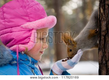 Little Girl Feeding A Squirrel In The Winter Forest.