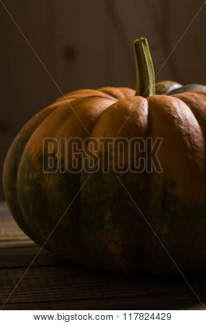 Large Segmented Cucurbita