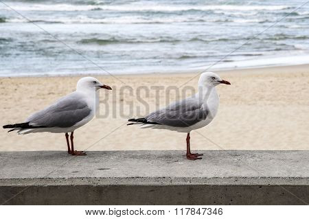 In formation