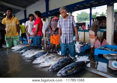 BERUWALA, SRI LANKA - NOVEMBER 16, 2015 :Crowdon on fish market .People buying fresh raw fish on market