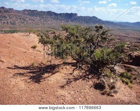 Red Rock Formation At Sierra De Las Quijadas In Argentina