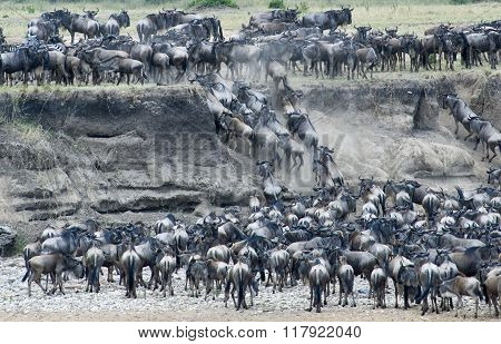 Tanzania National Parks