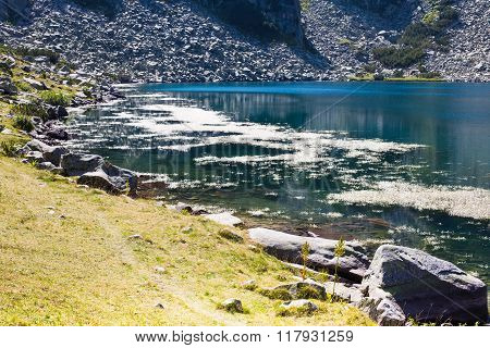 Beautiful Lake in the mountains near Bansko, Bulgaria and Water crowfoot