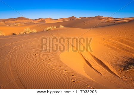 Sand Dunes In The Sahara Desert, Merzouga, Morocco