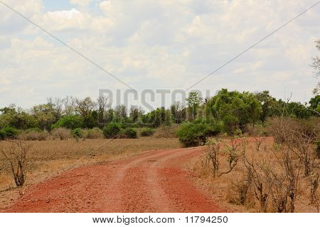 A estrada no interior de Mato