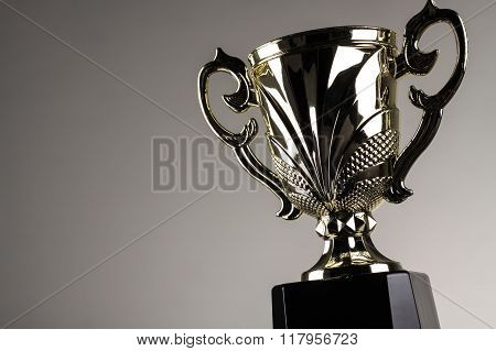 Winning Trophy Championship Award