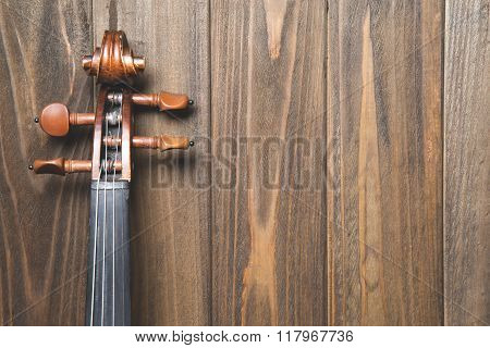 Violin