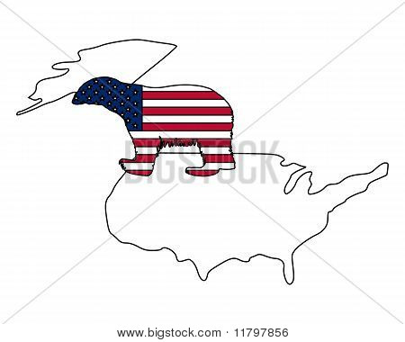Američtí lední medvěd