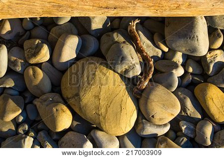 driftwood, washed up by the sea on a pebble beach on a warm summer day