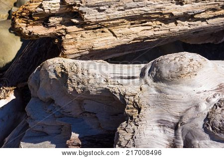 driftwood, washed up by the sea on a pebble beach on a warm summer day