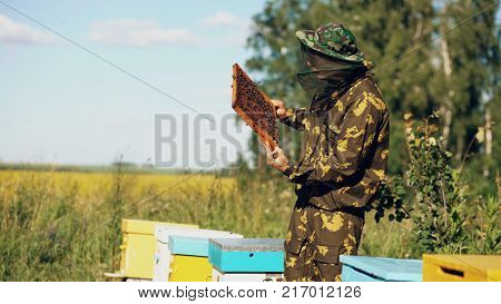Beekeeper man checking wooden frame before harvesting honey in apiary on sunny day