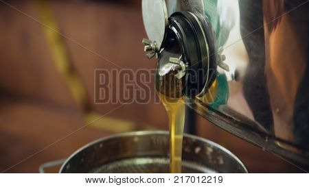 Close-up of honey flowing off harvesting beekeper equipment in apiary