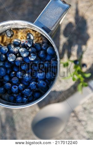 A metal mug full of blueberries on a stone in a forest in the mountains in the open air. With a spoon and a branch of blueberry