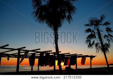 Silhouettes of palm trees on the beach near the sea with sunset. Orange sky and the blue sea of Abkhazia