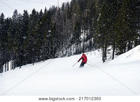 A skier is skiing down the slope in a forest. Man is wearing red jacket. It's snowing.
