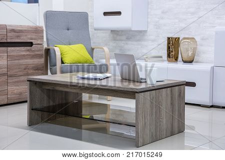 view of modern living room interior with furniture