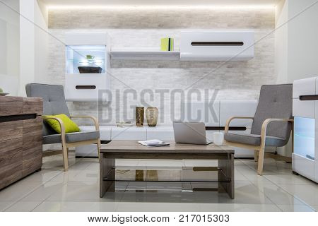 view of modern living room interior with furniture