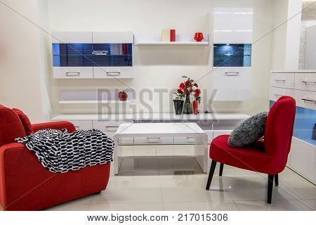 view of modern living room interior with furniture