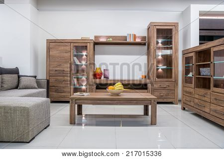 view of modern living room interior with furniture